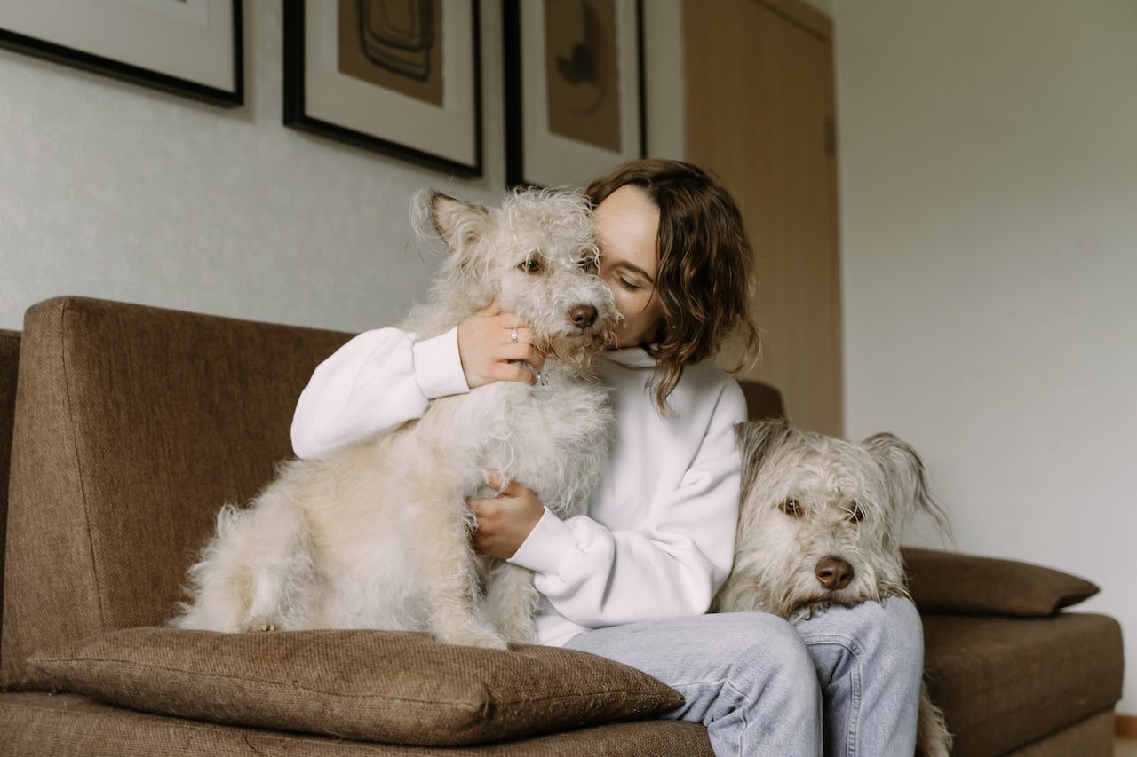 a woman sitting on the couch with two dogs and hugging one of them